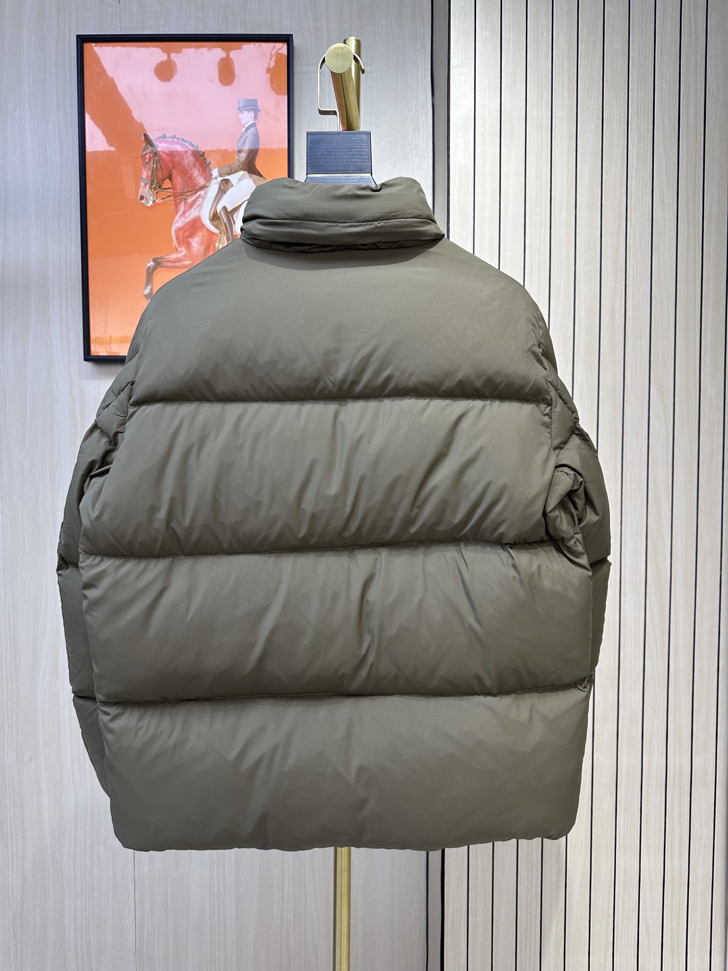 Moncler Down Jackets